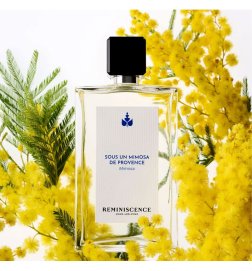 Sous un Mimosa de Provence - Eau de Toilette intense Sous un Mimosa de Provence - Eau de Toilette intense